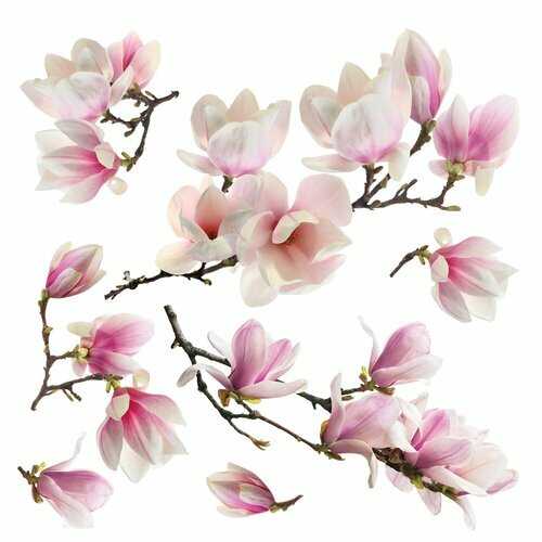 Samolepicí dekorace Magnolia blossom