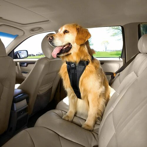 Kurgo Bezpečnostní postroj pro psy s pásem do auta