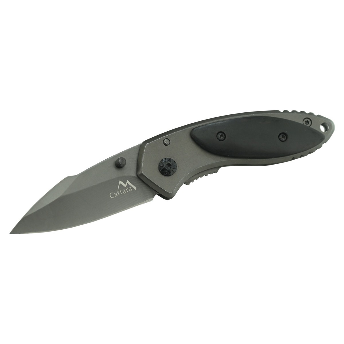 Cattara Nůž zavírací FISH 15cm