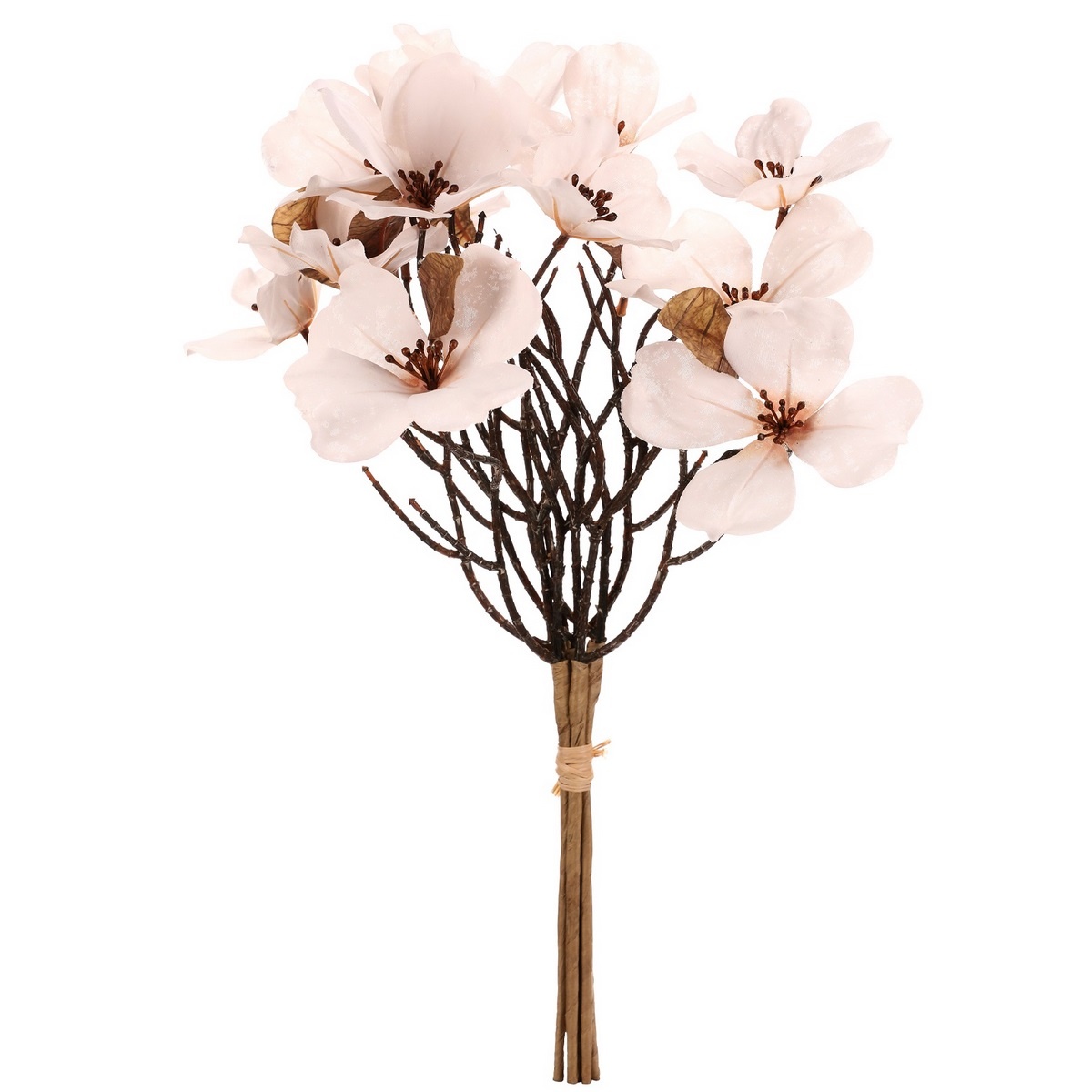 Magnolie bílá
