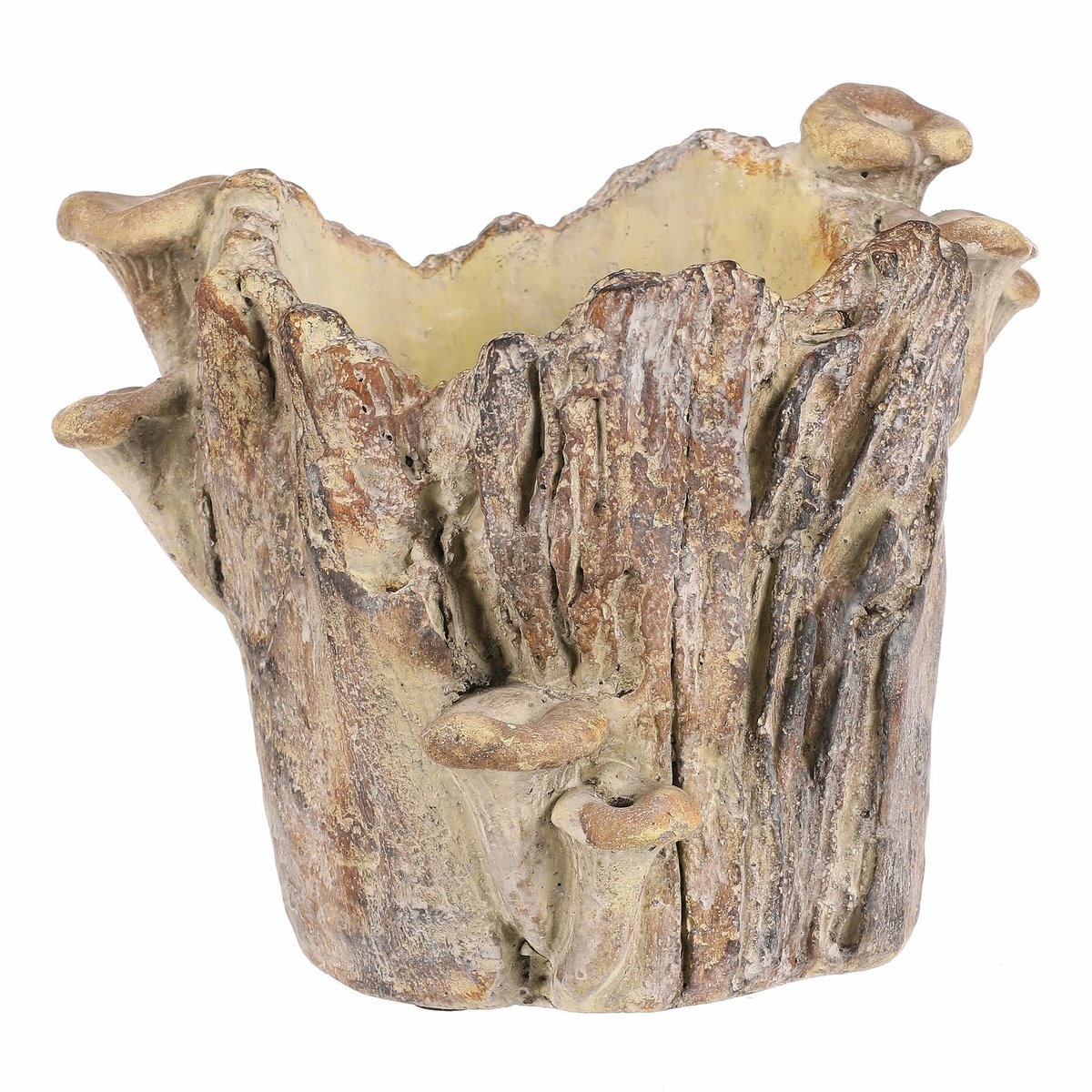 Obal betonový - pařez s houbami