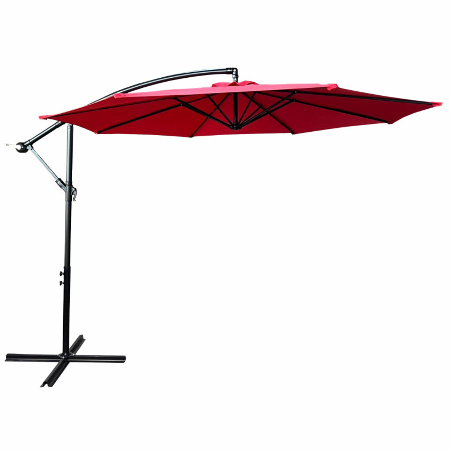 Zahradní slunečník Aster