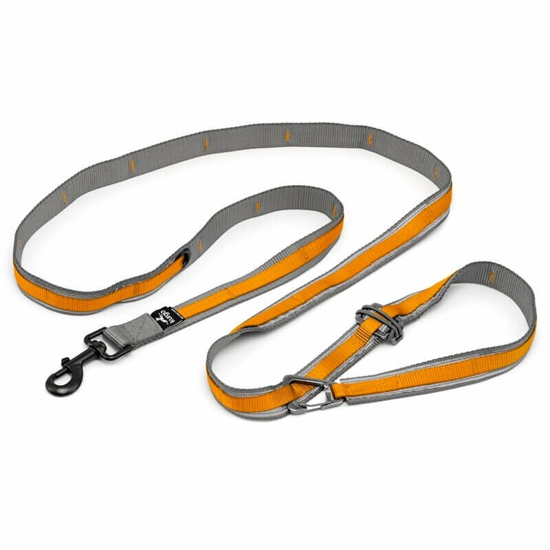 Kurgo® Quantum 2.0 Vodítko pro psy