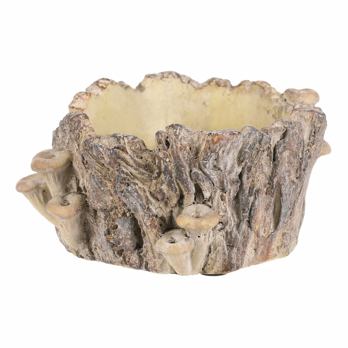 Obal betonový - pařez s houbami