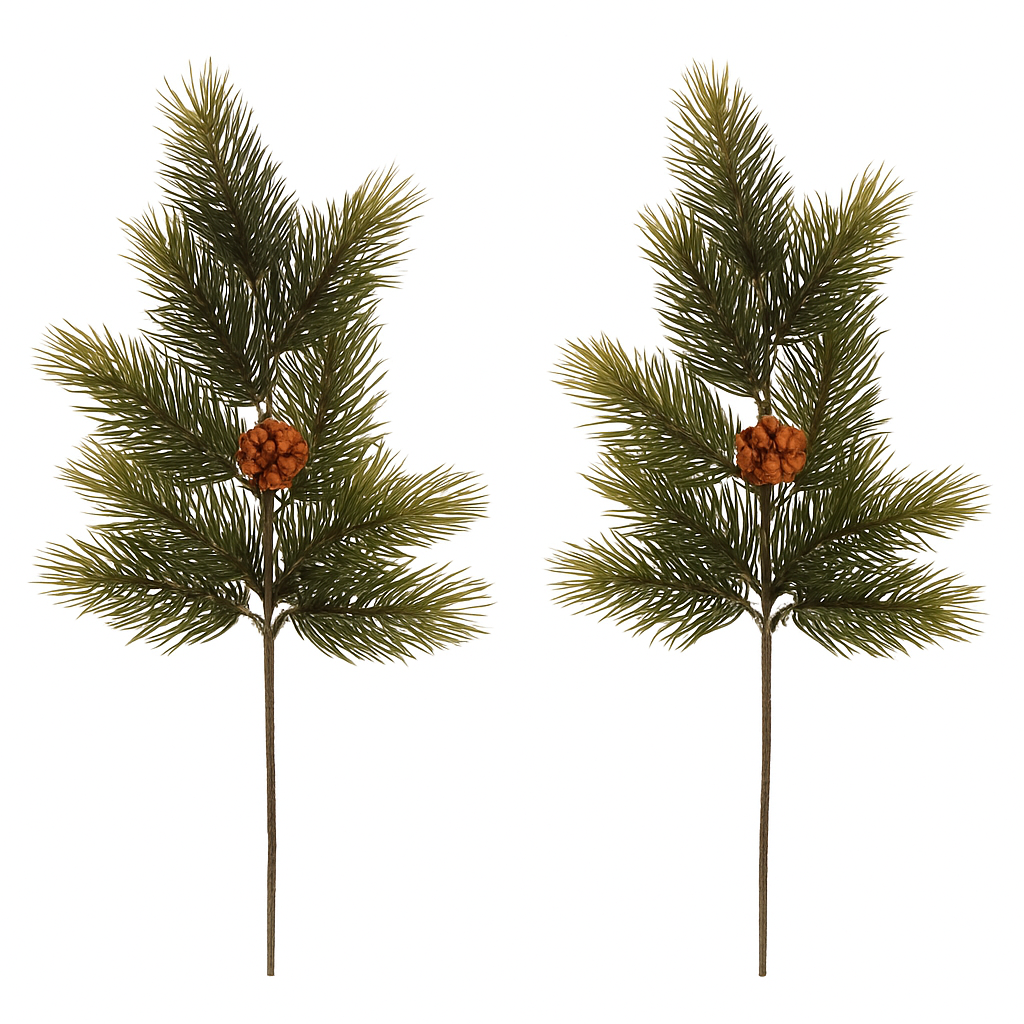 Sada borovicových větví se šiškami