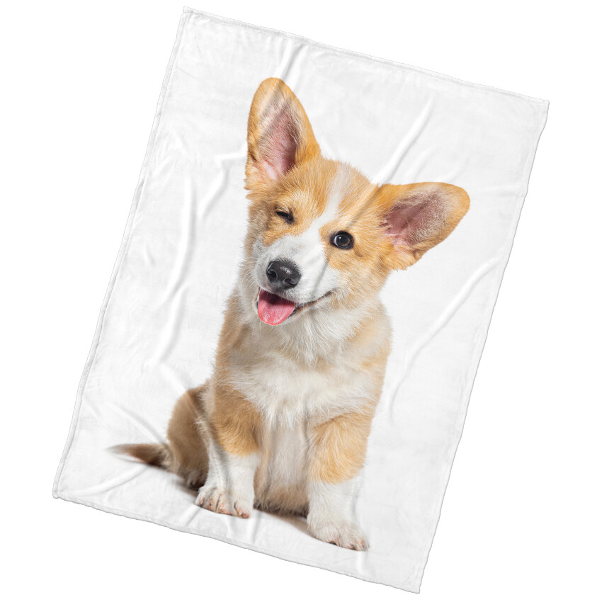 BedTex Deka mikroplyš Psí Veličenstvo