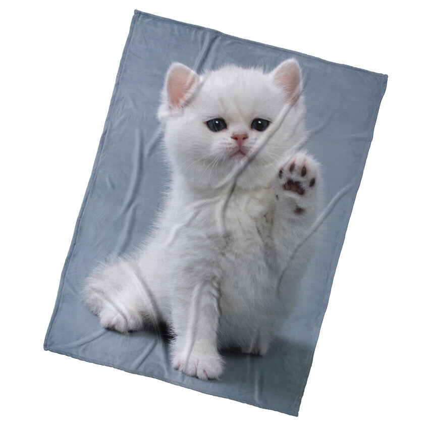 BedTex Dětská deka Koťátko Dej Pac