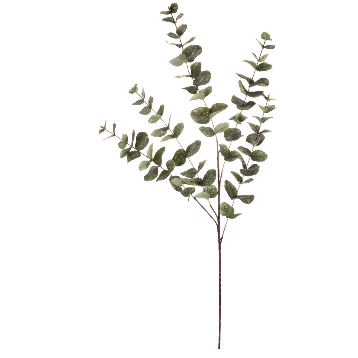 Eukalyptus - umělá větev